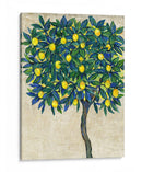 Composición De Árbol De Limón I - Tim OToole | Cuadro decorativo de Canvas Lab
