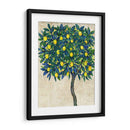 Composición De Árbol De Limón I - Tim OToole | Cuadro decorativo de Canvas Lab