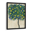 Composición De Árbol De Limón I - Tim OToole | Cuadro decorativo de Canvas Lab