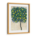 Composición De Árbol De Limón I - Tim OToole | Cuadro decorativo de Canvas Lab