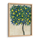 Composición De Árbol De Limón I - Tim OToole | Cuadro decorativo de Canvas Lab
