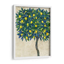 Composición De Árbol De Limón I - Tim OToole | Cuadro decorativo de Canvas Lab
