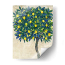 Composición De Árbol De Limón I - Tim OToole | Cuadro decorativo de Canvas Lab