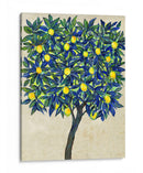 Composición De Árbol De Limón Ii - Tim OToole | Cuadro decorativo de Canvas Lab