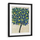 Composición De Árbol De Limón Ii - Tim OToole | Cuadro decorativo de Canvas Lab