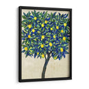 Composición De Árbol De Limón Ii - Tim OToole | Cuadro decorativo de Canvas Lab