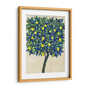 Composición De Árbol De Limón Ii - Tim OToole | Cuadro decorativo de Canvas Lab