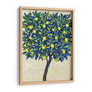 Composición De Árbol De Limón Ii - Tim OToole | Cuadro decorativo de Canvas Lab