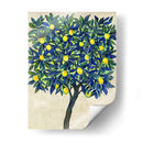 Composición De Árbol De Limón Ii - Tim OToole | Cuadro decorativo de Canvas Lab