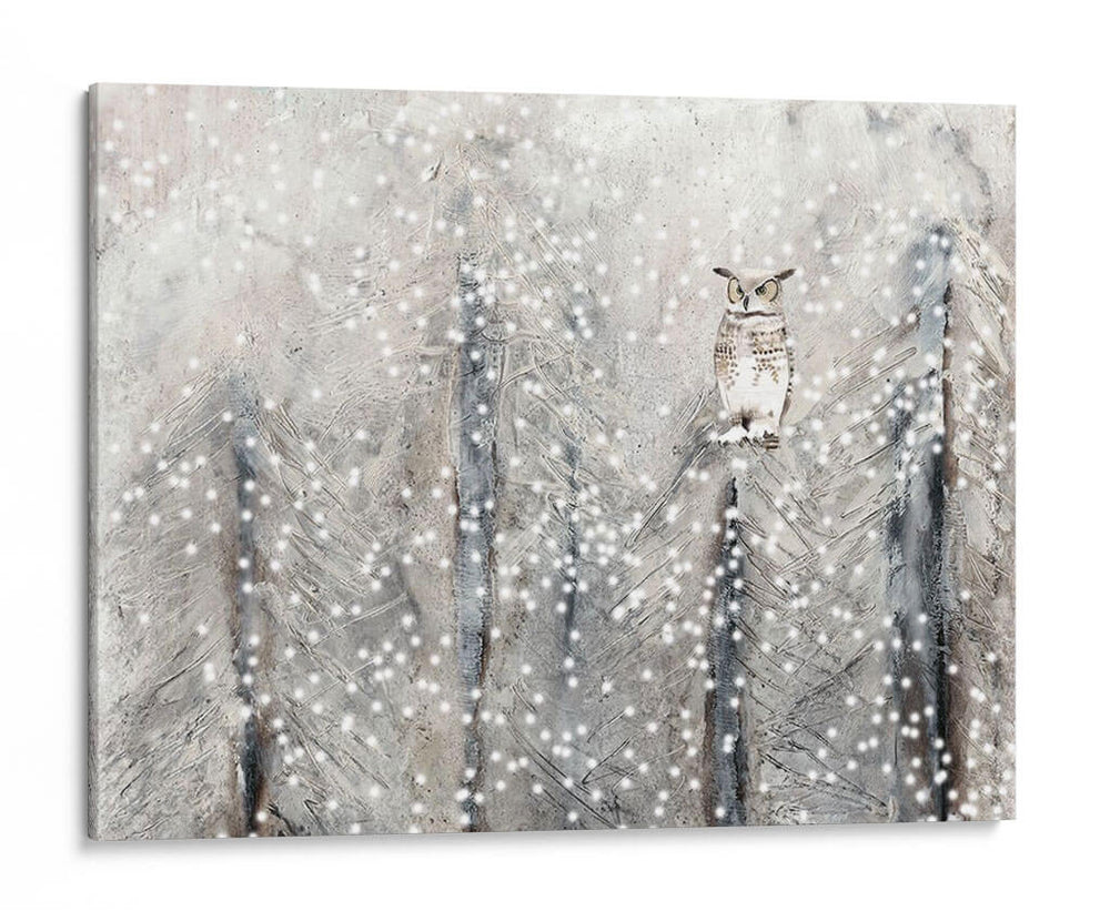 Hábitat Nevado I - Alicia Ludwig | Cuadro decorativo de Canvas Lab