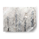 Hábitat Nevado I - Alicia Ludwig | Cuadro decorativo de Canvas Lab