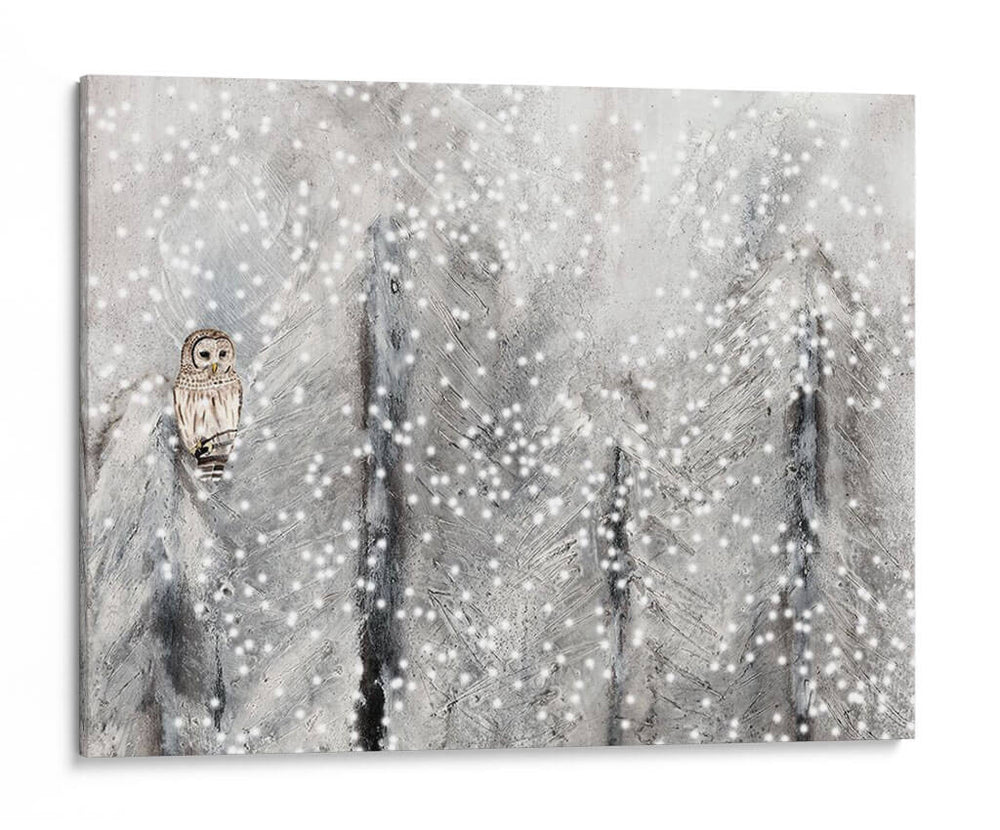 Hábitat Nevado Ii - Alicia Ludwig | Cuadro decorativo de Canvas Lab