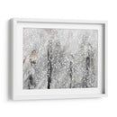 Hábitat Nevado Ii - Alicia Ludwig | Cuadro decorativo de Canvas Lab