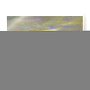 Luz A Través Del Prado Ii - Sheila Finch | Cuadro decorativo de Canvas Lab