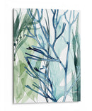 Hojas De Mar Ii - Grace Popp | Cuadro decorativo de Canvas Lab
