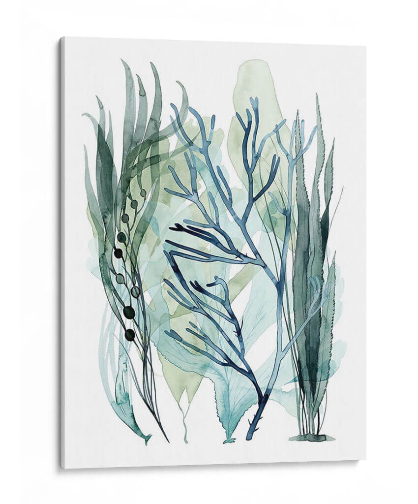 Hojas De Mar Iii - Grace Popp | Cuadro decorativo de Canvas Lab