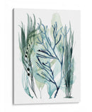 Hojas De Mar Iii - Grace Popp | Cuadro decorativo de Canvas Lab