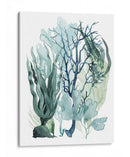 Hojas De Mar Iv - Grace Popp | Cuadro decorativo de Canvas Lab