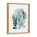 Hojas De Mar Iv - Grace Popp | Cuadro decorativo de Canvas Lab