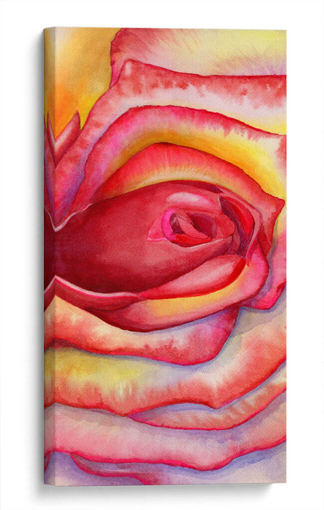 Acercamiento rosa | Cuadro decorativo de Canvas Lab