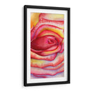 Acercamiento rosa | Cuadro decorativo de Canvas Lab