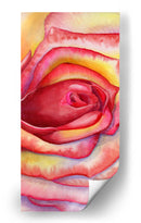 Acercamiento rosa | Cuadro decorativo de Canvas Lab