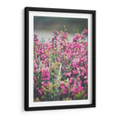 Hallazgo en el parque | Cuadro decorativo de Canvas Lab