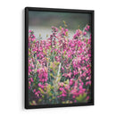 Hallazgo en el parque | Cuadro decorativo de Canvas Lab