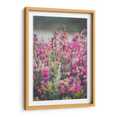 Hallazgo en el parque | Cuadro decorativo de Canvas Lab