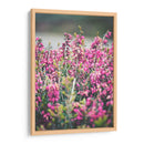 Hallazgo en el parque | Cuadro decorativo de Canvas Lab