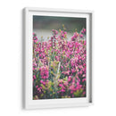 Hallazgo en el parque | Cuadro decorativo de Canvas Lab