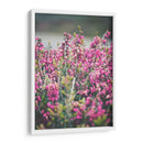 Hallazgo en el parque | Cuadro decorativo de Canvas Lab