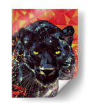 Le Noir PARDUC - Mayka ienova | Cuadro decorativo de Canvas Lab