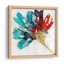 Flores Salpicadas Ii - Jennifer Goldberger | Cuadro decorativo de Canvas Lab