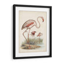 Antiguas Aves Acuáticas Iv | Cuadro decorativo de Canvas Lab