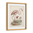 Antiguas Aves Acuáticas Iv | Cuadro decorativo de Canvas Lab