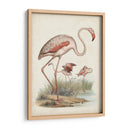 Antiguas Aves Acuáticas Iv | Cuadro decorativo de Canvas Lab