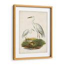 Antiguas Aves Acuáticas V | Cuadro decorativo de Canvas Lab