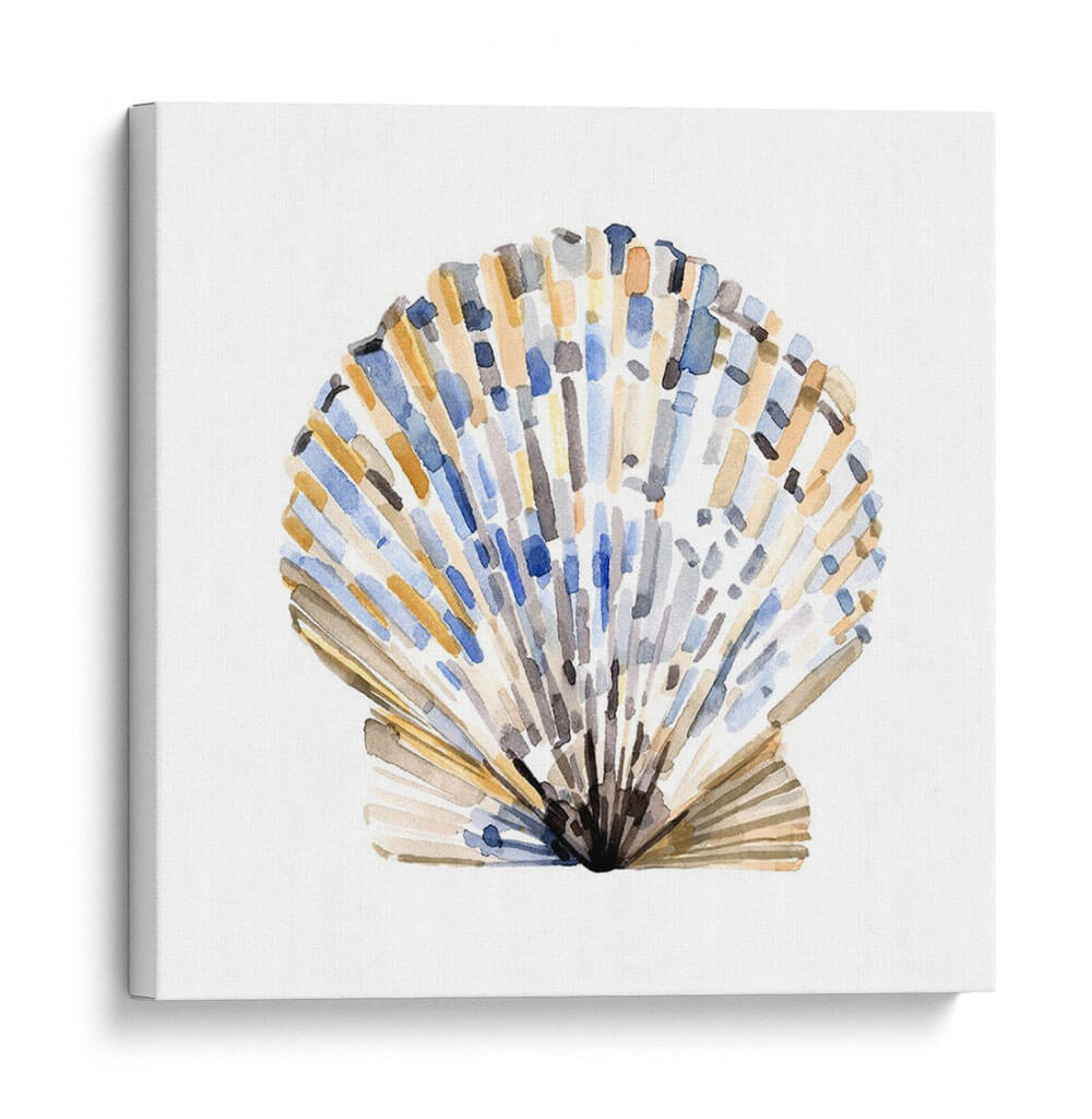 Conchas Simples I - Gerard Paul Deshayes | Cuadro decorativo de Canvas Lab