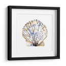 Conchas Simples I - Gerard Paul Deshayes | Cuadro decorativo de Canvas Lab