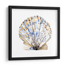 Conchas Simples I - Gerard Paul Deshayes | Cuadro decorativo de Canvas Lab