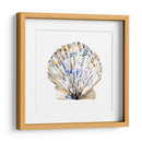 Conchas Simples I - Gerard Paul Deshayes | Cuadro decorativo de Canvas Lab