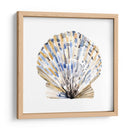 Conchas Simples I - Gerard Paul Deshayes | Cuadro decorativo de Canvas Lab