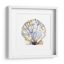 Conchas Simples I - Gerard Paul Deshayes | Cuadro decorativo de Canvas Lab