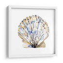 Conchas Simples I - Gerard Paul Deshayes | Cuadro decorativo de Canvas Lab