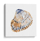 Conchas Simples Ii - Gerard Paul Deshayes | Cuadro decorativo de Canvas Lab