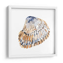 Conchas Simples Ii - Gerard Paul Deshayes | Cuadro decorativo de Canvas Lab