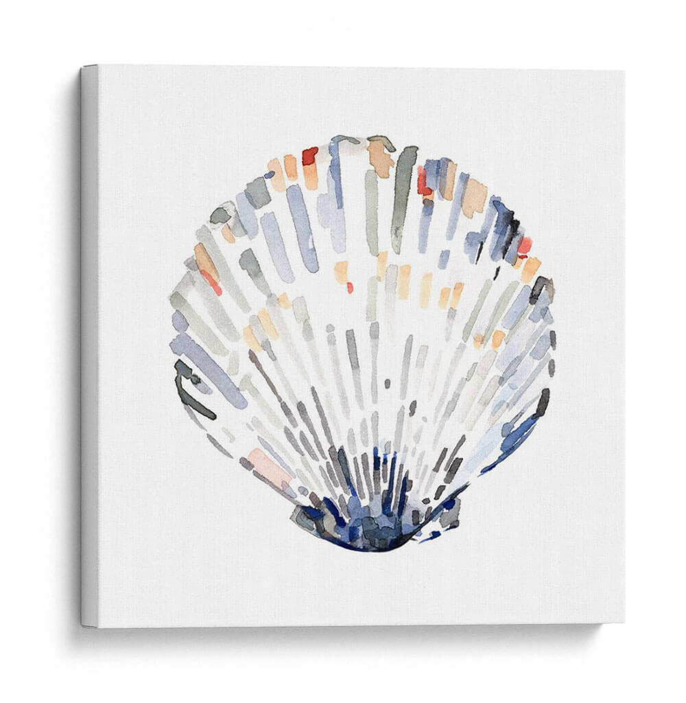 Conchas Simples Iii - Gerard Paul Deshayes | Cuadro decorativo de Canvas Lab