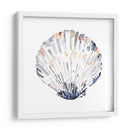 Conchas Simples Iii - Gerard Paul Deshayes | Cuadro decorativo de Canvas Lab