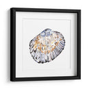 Conchas Simples Iv - Gerard Paul Deshayes | Cuadro decorativo de Canvas Lab
